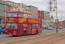 City Sightseeing Hop-On Hop-Off Bus Tour